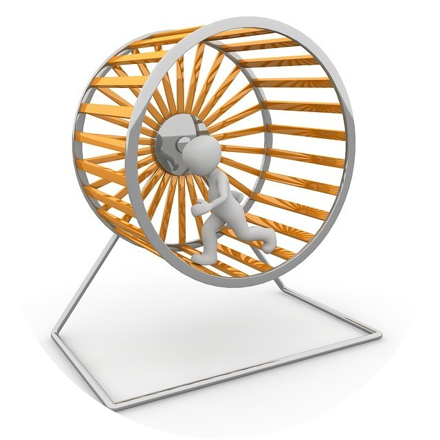 Hamster wheel