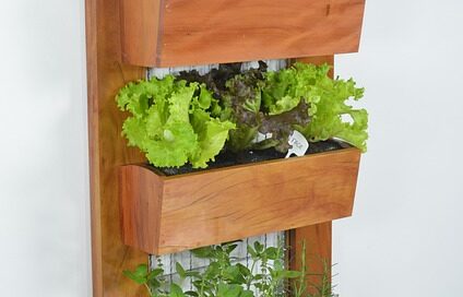 vertical garden
