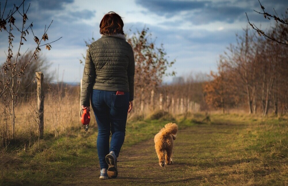 dog walker in park