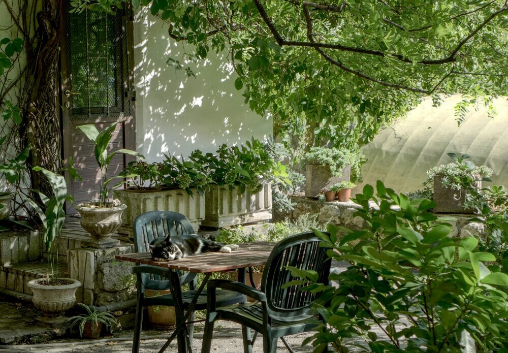 a tidy garden