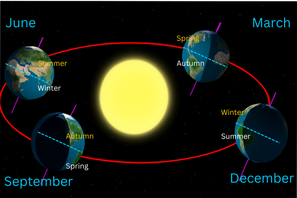 Illustration showing the seasons as the Earth rotates around the sun
