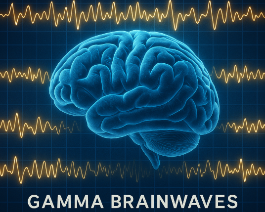 image of brain with gamma brainwaves in the background