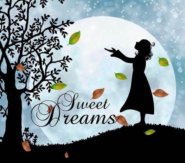 Silhouette image of a girl looking at a tree and a caption