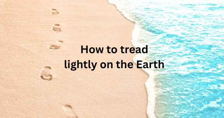 Waves gently breaking on a sandy beach, with some footsteps seen in the sand. Text overlay says "How to tread lightly on the Earth"